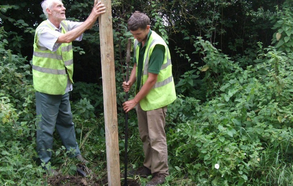 Sturminster Newton-North Dorset Countryside Service 2