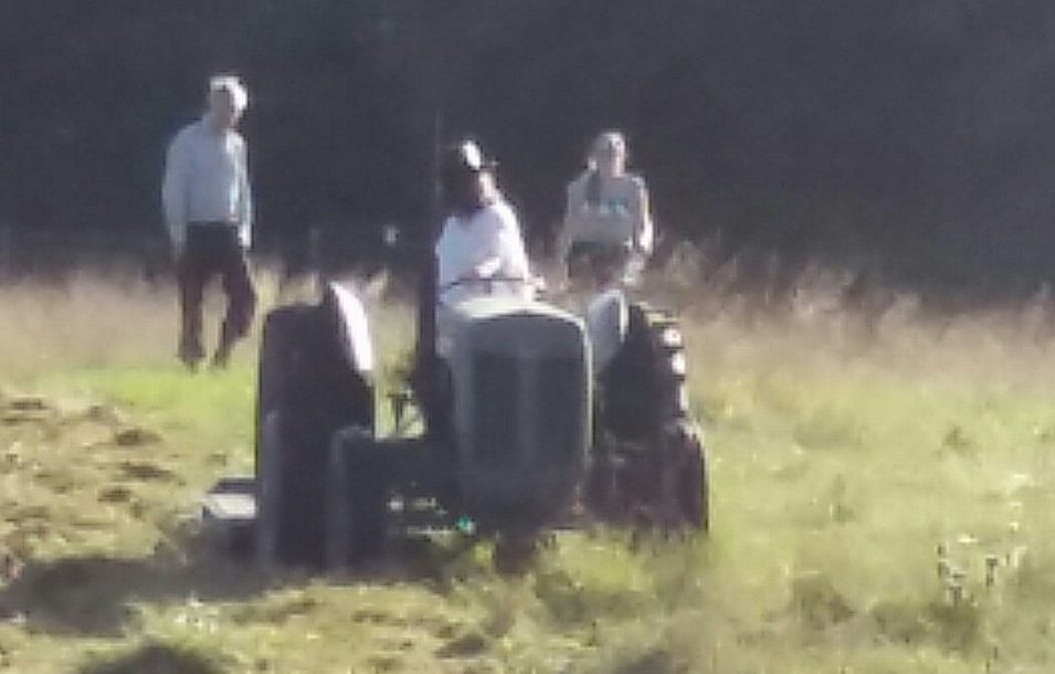 Sturminster Newton-Dorset Lavender Farm Project 5